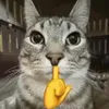 shadowflick_wh