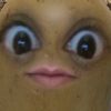 miss_lazypotato