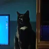 frezoapparat