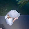 dslisq