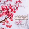 umahmad82