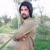 ansar12141