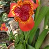 chris_2319
