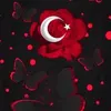 dy09wk5lmbl1vesselam