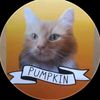 pumpkinthefloofball