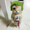 minirainxd