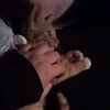 esme_0805
