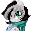 xie_the_zebra
