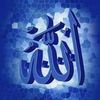 hanancompanion10