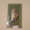 robertodiblasi12
