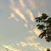 noname12309886