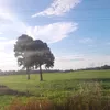 pretamorena