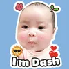 dashbaby8324