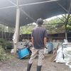 manusiatanpanama45