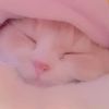 ilovemoney647