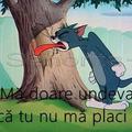 vasilevornicu6