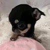 jireh_1231