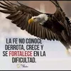 rogeliagalarza