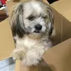 jhalibeee