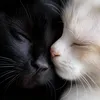 Видео для души