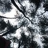 indahnya4_ku