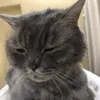 ngokblabla