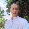 nicolae2479