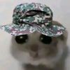 asyraf_148