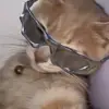 jdkdfykfmff
