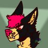 mango_the_kango_fox