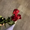 memeiss98
