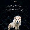 chu52newaccount