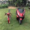 pcxbaxxxboy