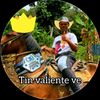 tinvalientedelosvalients