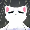 ariel_st8