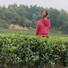 mo_em_94
