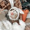 0possum00