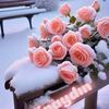eminecetin626
