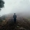 _0_ali