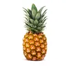 anas.zts