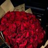 shahad_alh19