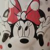 disneyland240