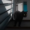 waning_focus