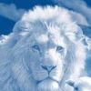 mendez_eder