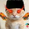 PP KUCING RAMADHAN
