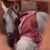 fhaed20