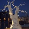divinestorm55