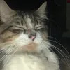 eeeyyaaaaaayaa