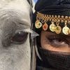 حلہﹻۧﹻيمه ۦ'🐎🤍