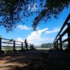 _nipuna_rd_